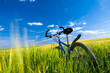 Bike on the field Bike on the field