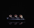 snails with coarse salt