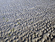 Rippled sand background Rippled sand background