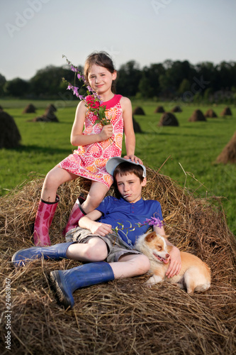 Photo: hay hay