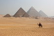 Giza Giza