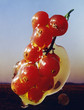 caramelized redcurrants