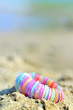shell bracelet on beach shell bracelet on beach