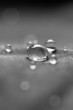 wassertropfen auf Stoff