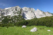 Maglic, the hihgest mountain of Bosnia and Herzegovina