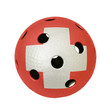 Floorball Ball Switzerland