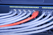 Photo: Internet connection. Red cables connected blue internet switch. Internet connection. Red cables connected blue internet switch.