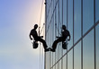 Window cleaner