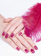 Woman hands with pink manicure and feather Woman hands with pink manicure and feather