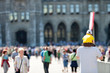 Foto: little boy with yellow shirt little boy with yellow shirt