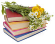 Wild flowers and old books