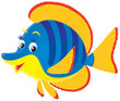 Tropical marine fish