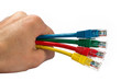 Hand Holding Four Multi Colored Network Cables Isolated Hand Holding Four Multi Colored Network Cables Isolated