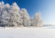Winter park in snow Winter park in snow