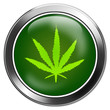 button marijuana, dope