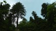 Video: Blick zum Himmel Blick zum Himmel