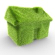 Illustration: A house covered with grass symbolizing an ecologic house A house covered with grass symbolizing an ecologic house