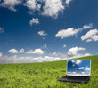 Laptop and nature Laptop and nature