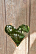 Coeur