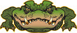 Alligator