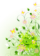 Summer background