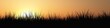 Gras Panorama bei Sonnenuntergang Gras Panorama bei Sonnenuntergang