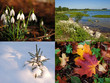 Four seasons Four seasons