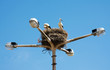Two stork on nest in a light pole, Algarve Portugal