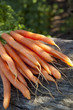 Carrots