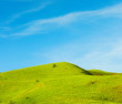 idyllic landscape