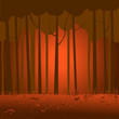 Marsh landscape
