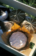 banon goat cheese banon goat cheese