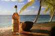 rep. Dominicana, Rhum e cocco