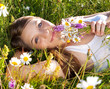 marguerite-land 6