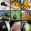 Wedding 7