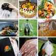 Wedding 5