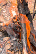 Campfire Campfire