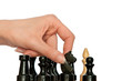 grossmeister plays