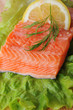 pieces of salmon pieces of salmon