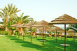 Beach umbrellas Beach umbrellas