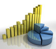 Business Performance Charts [pie chart and bar graph]