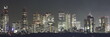 Tokyo at night panorama with illuminated skyscrapers