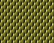 lizard plastic skin