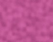pink lizard skin
