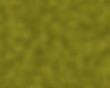 green lizard skin