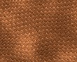lizard skin