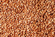 buckwheat