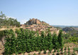 potager - Alquezar