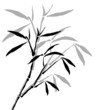 background with bamboo branches background with bamboo branches