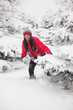 play snowballs